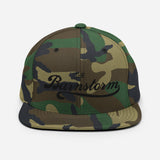 Barnstorm Team Snapbacks