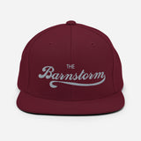 Barnstorm Team Snapbacks